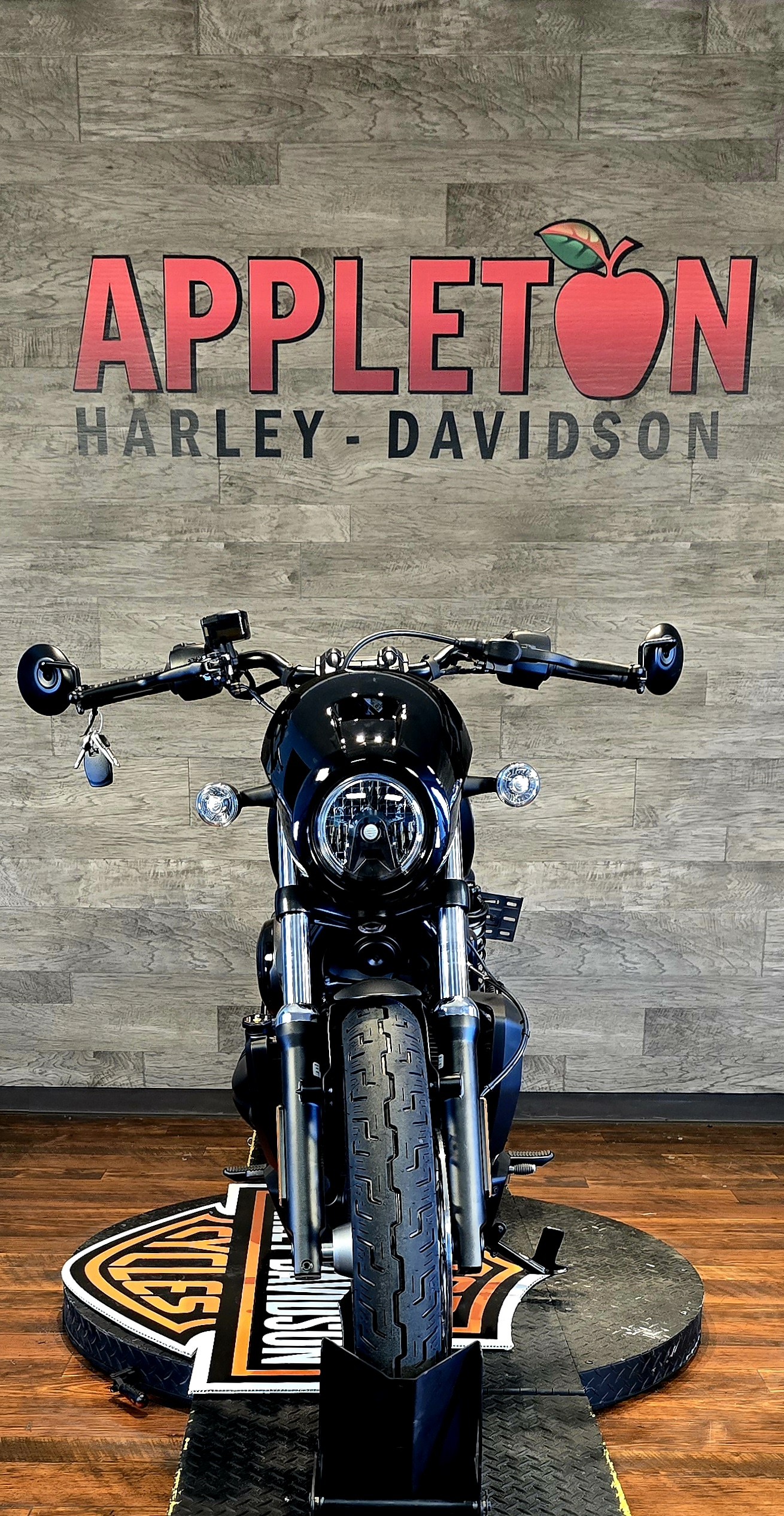 2024 Harley-Davidson Sportster Nightster Special at Appleton Harley-Davidson