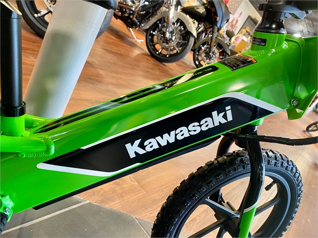2023 Kawasaki Elektrode Elektrode at Shreveport Cycles