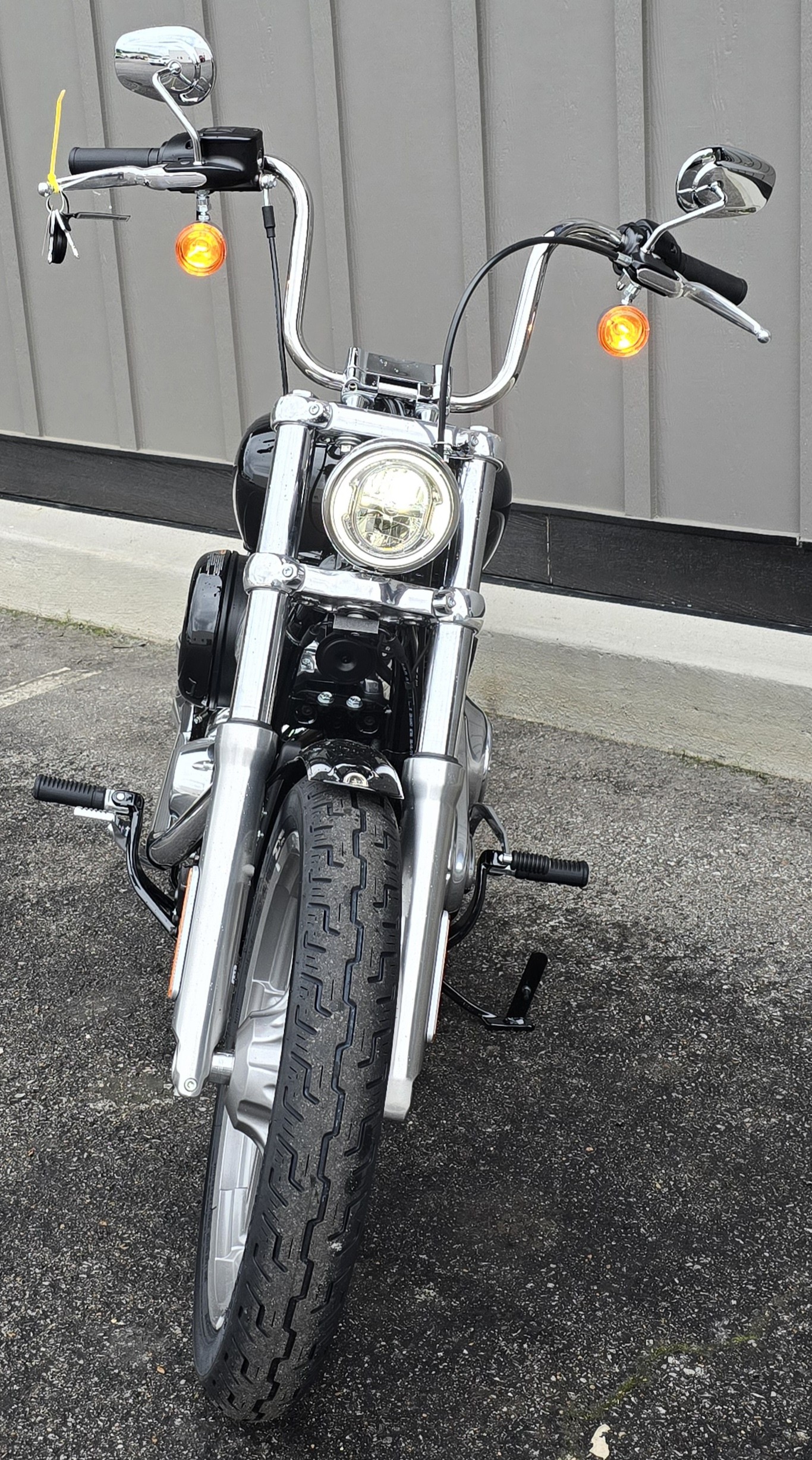 2024 Harley-Davidson Softail Standard at Appleton Harley-Davidson