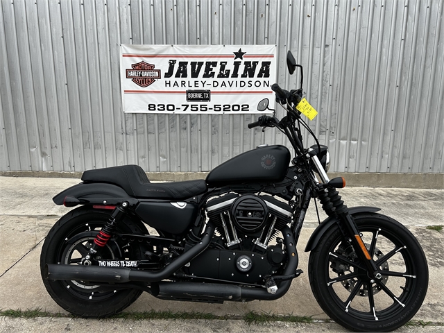 2021 Harley-Davidson Iron 883' at Javelina Harley-Davidson