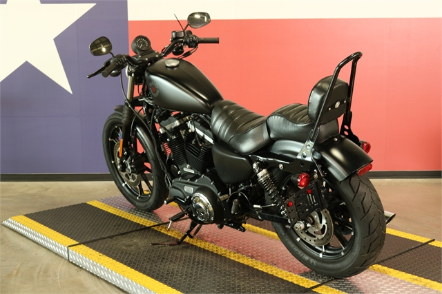 2021 Harley-Davidson Iron 883' at Texas Harley