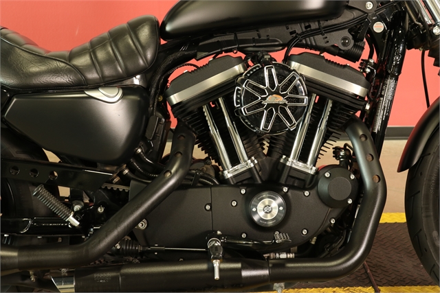 2021 Harley-Davidson Iron 883' at Texas Harley