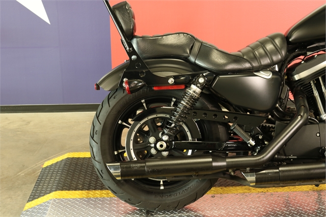 2021 Harley-Davidson Iron 883' at Texas Harley