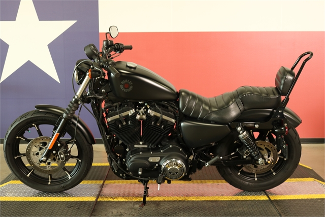 2021 Harley-Davidson Iron 883' at Texas Harley