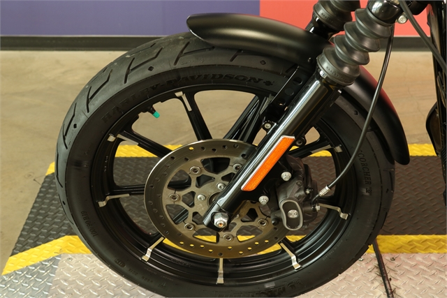 2021 Harley-Davidson Iron 883' at Texas Harley