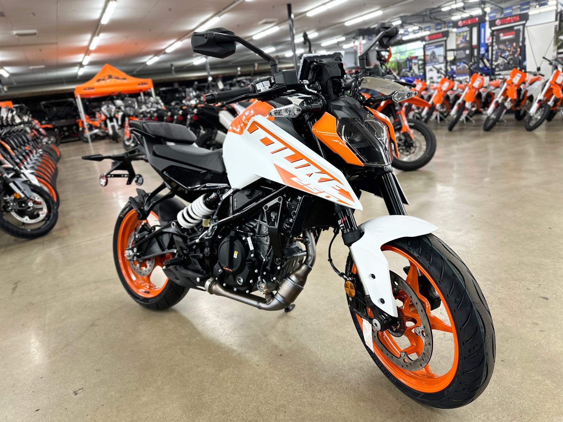 2024 KTM Duke 250 at ATVs and More