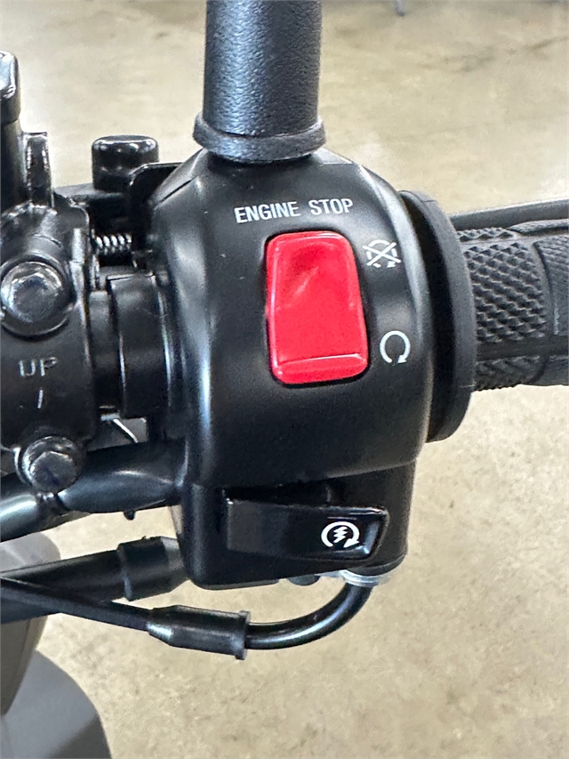 2024 Yamaha Zuma 125 at ATVs and More