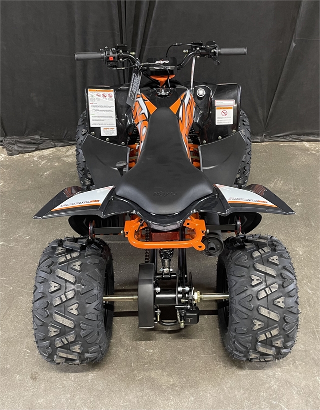 2023 Kayo Predator 125 at Powersports St. Augustine