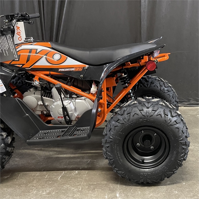 2023 Kayo Predator 125 at Powersports St. Augustine