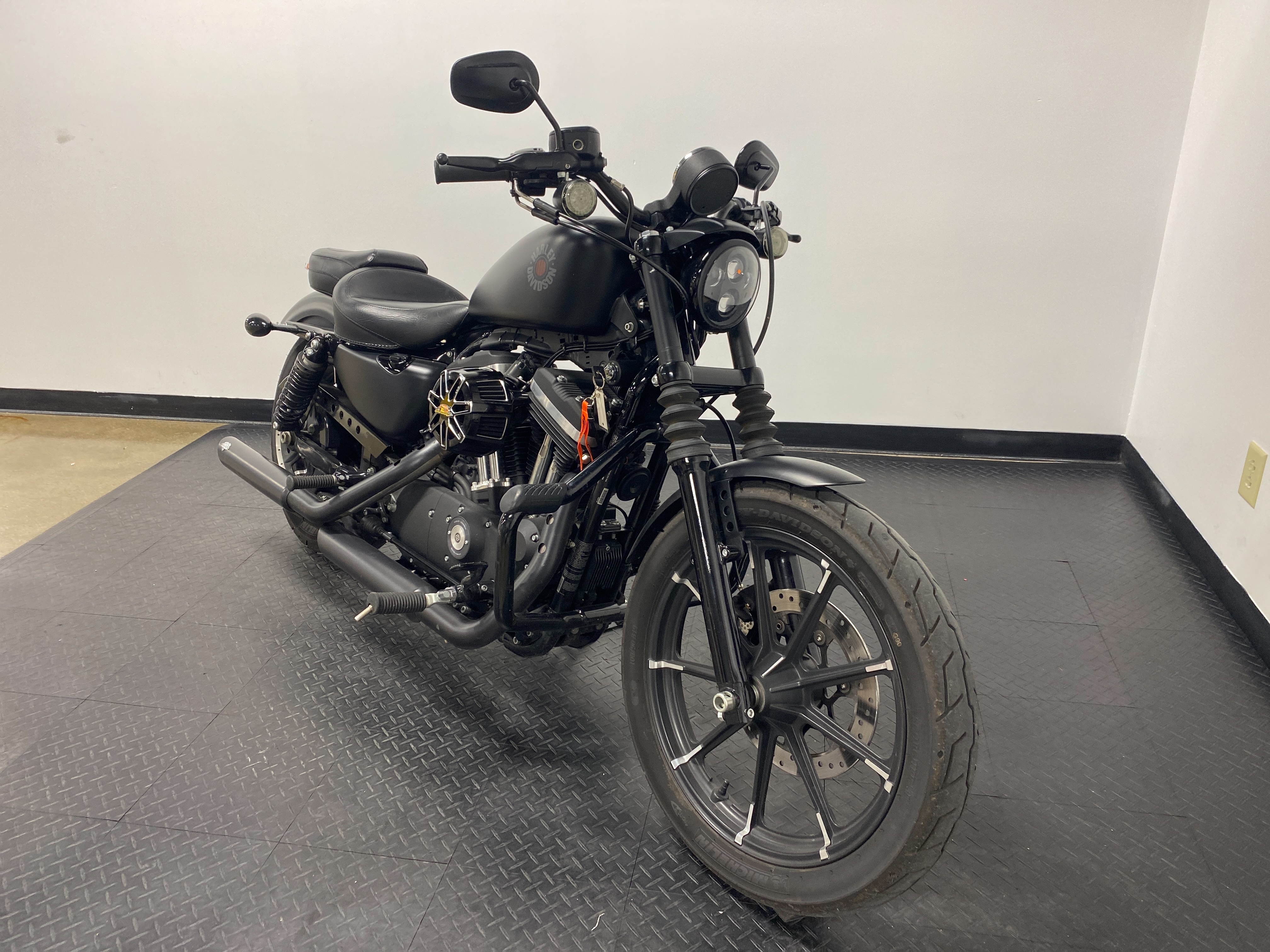 2019 Harley-Davidson Sportster Iron 883 at Cannonball Harley-Davidson