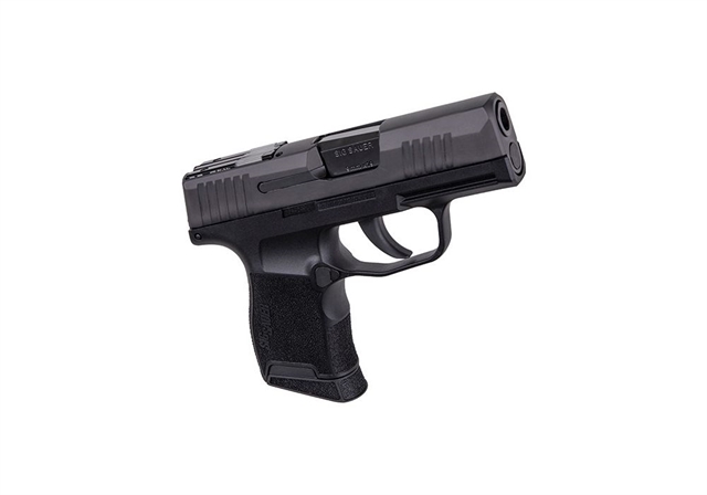 2020 Sig Sauer Handgun at Harsh Outdoors, Eaton, CO 80615