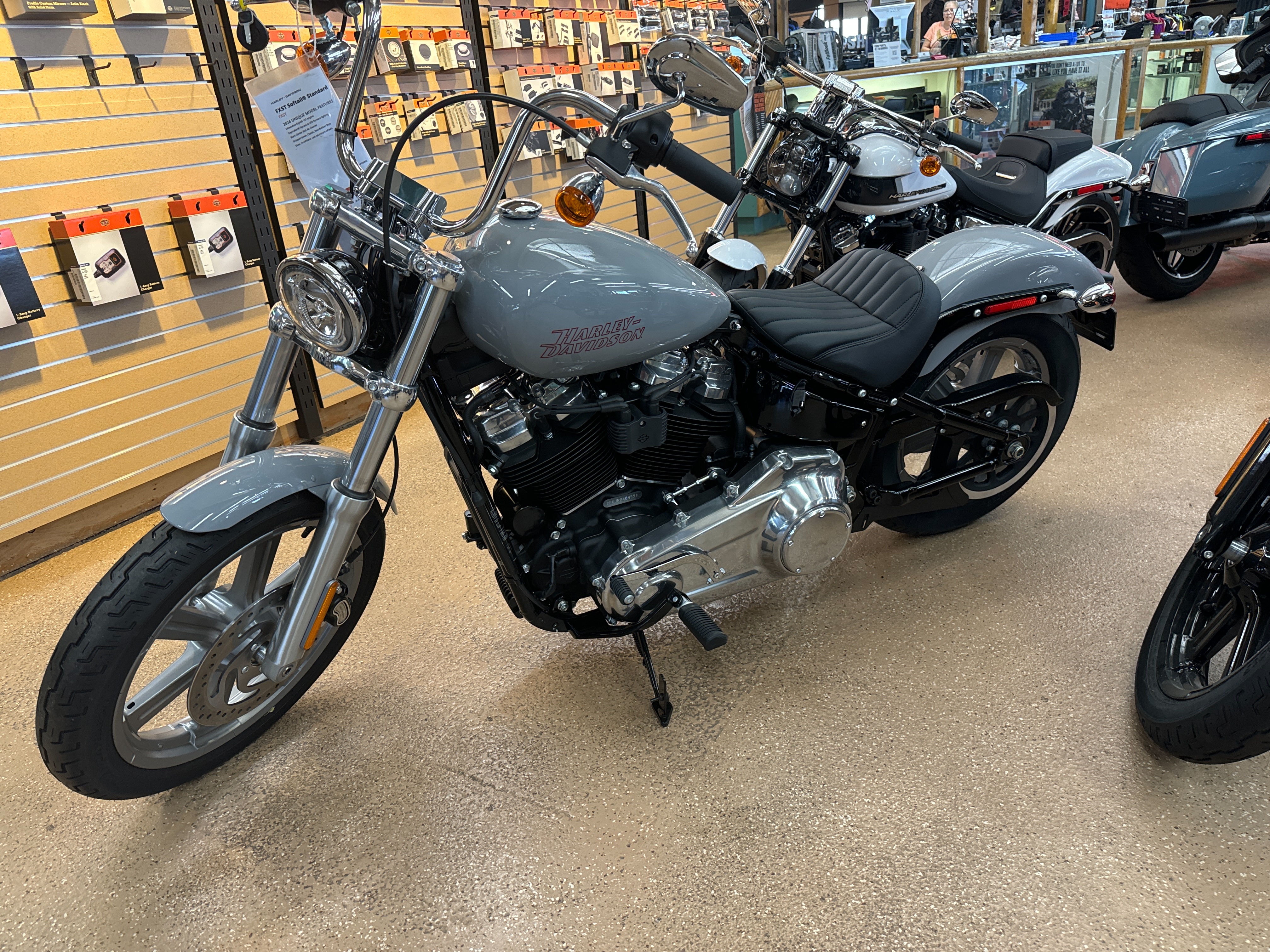 2024 Harley-Davidson Softail Standard at Palm Springs Harley-Davidson®