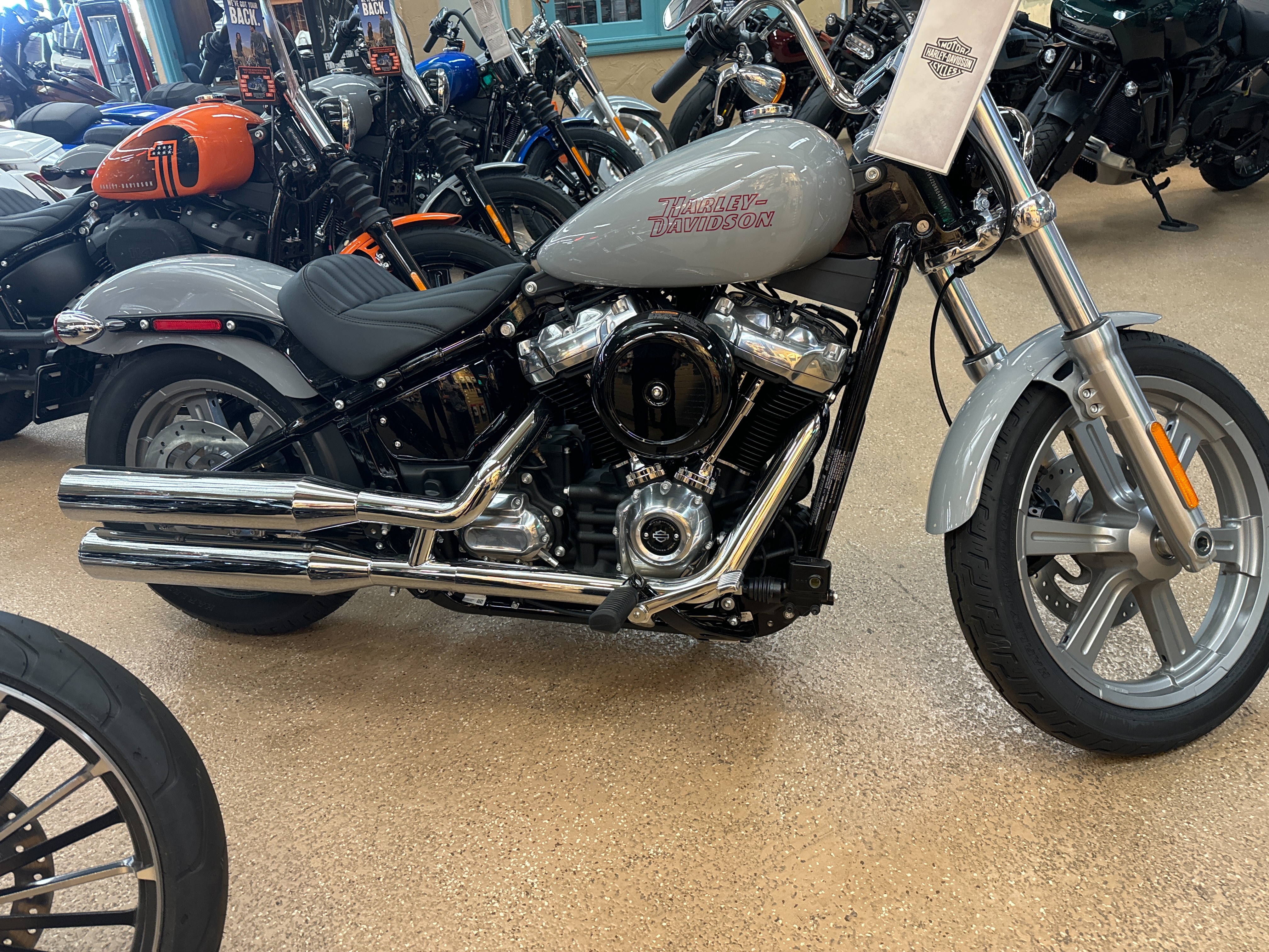 2024 Harley-Davidson Softail Standard at Palm Springs Harley-Davidson®