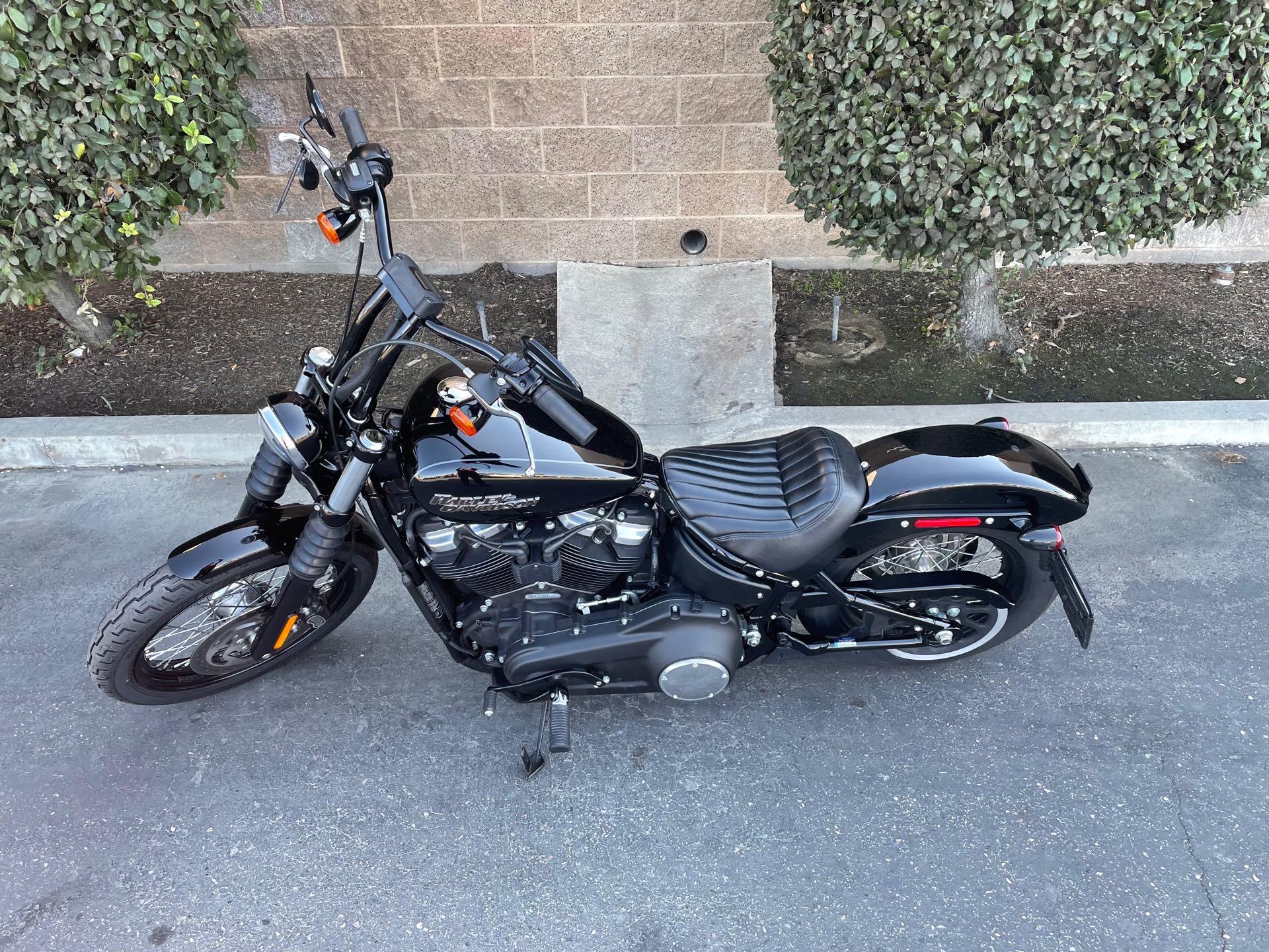 2019 Harley-Davidson Softail Street Bob at Fresno Harley-Davidson