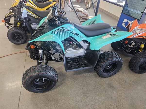2024 Yamaha Raptor 110 at Brenny's Motorcycle Clinic, Bettendorf, IA 52722