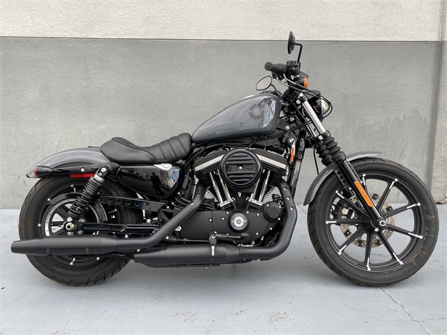 2022 Harley-Davidson XL883N - Iron 883 Iron 883 at Los Angeles Harley-Davidson