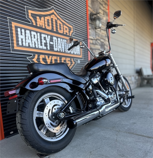 2024 Harley-Davidson Softail Standard at Gasoline Alley Harley-Davidson