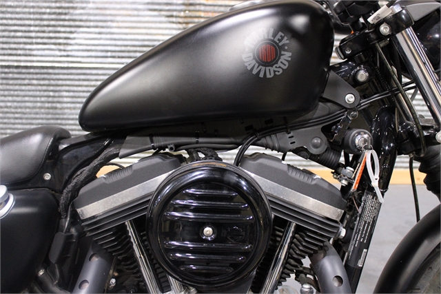 2021 Harley-Davidson Iron 883' at Texarkana Harley-Davidson