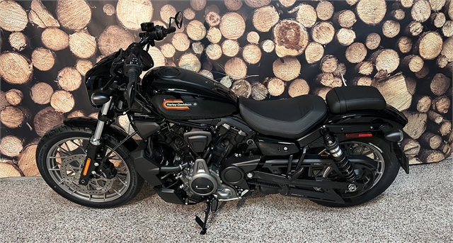 2023 Harley-Davidson Sportster Nightster Special at Northwoods Harley-Davidson