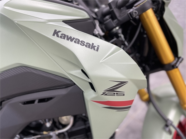 2023 Kawasaki Z125 PRO Base at Motor Sports of Willmar