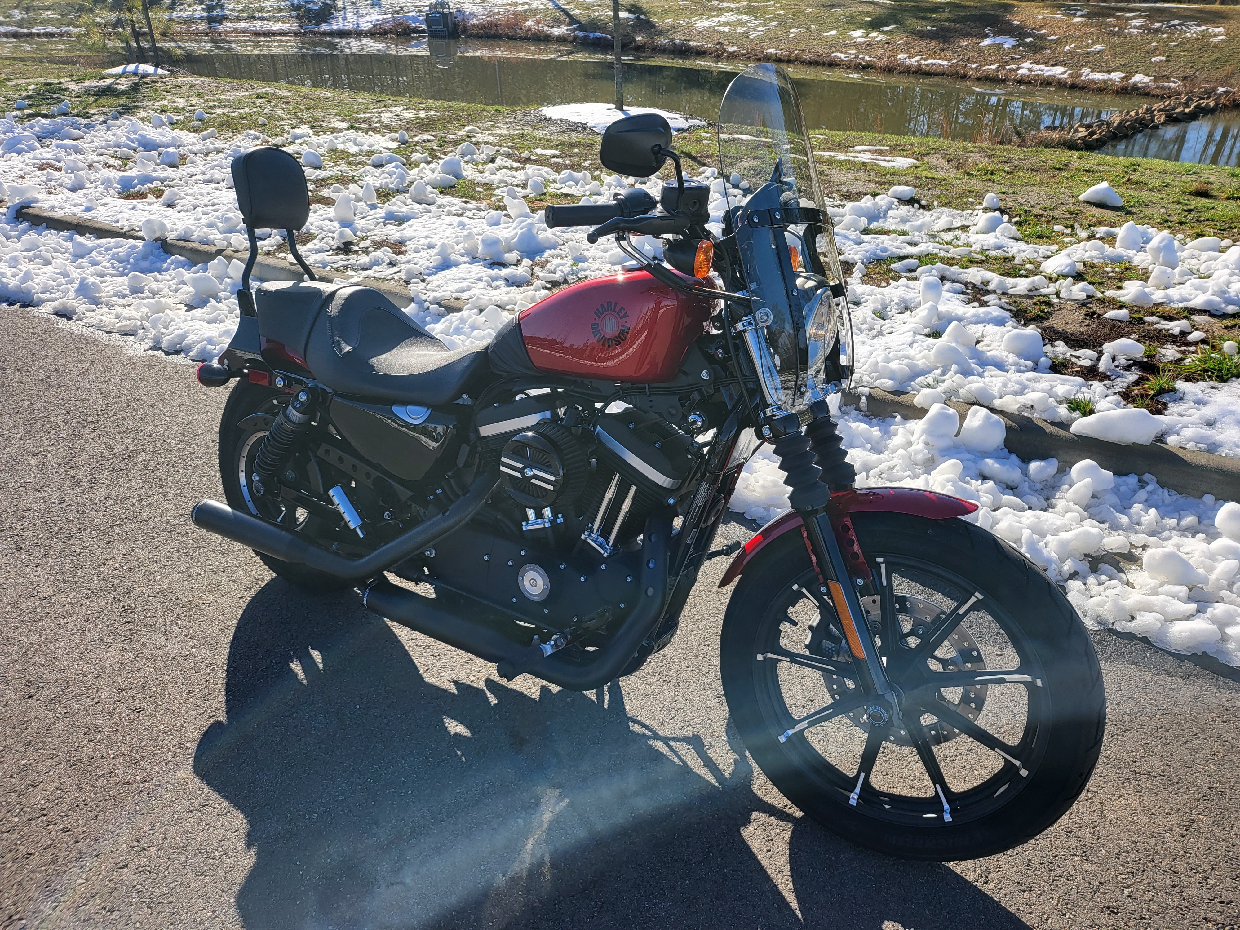 2019 Harley-Davidson Sportster Iron 883 at Richmond Harley-Davidson