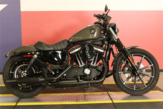 19 Harley Davidson Sportster Iron 8 Texas Harley