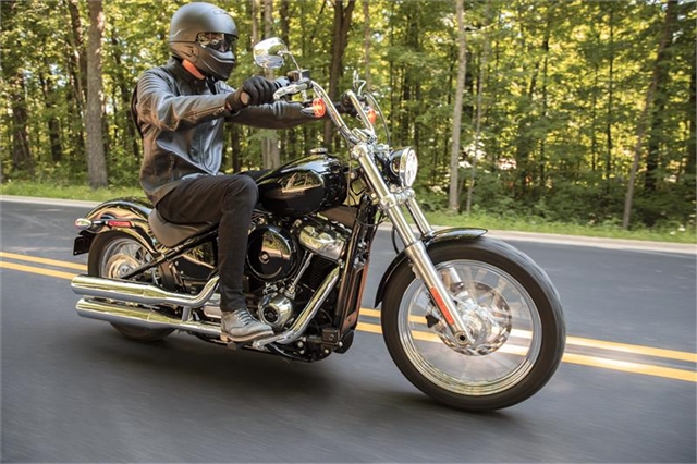 2021 Harley-Davidson Cruiser Softail Standard at Javelina Harley-Davidson