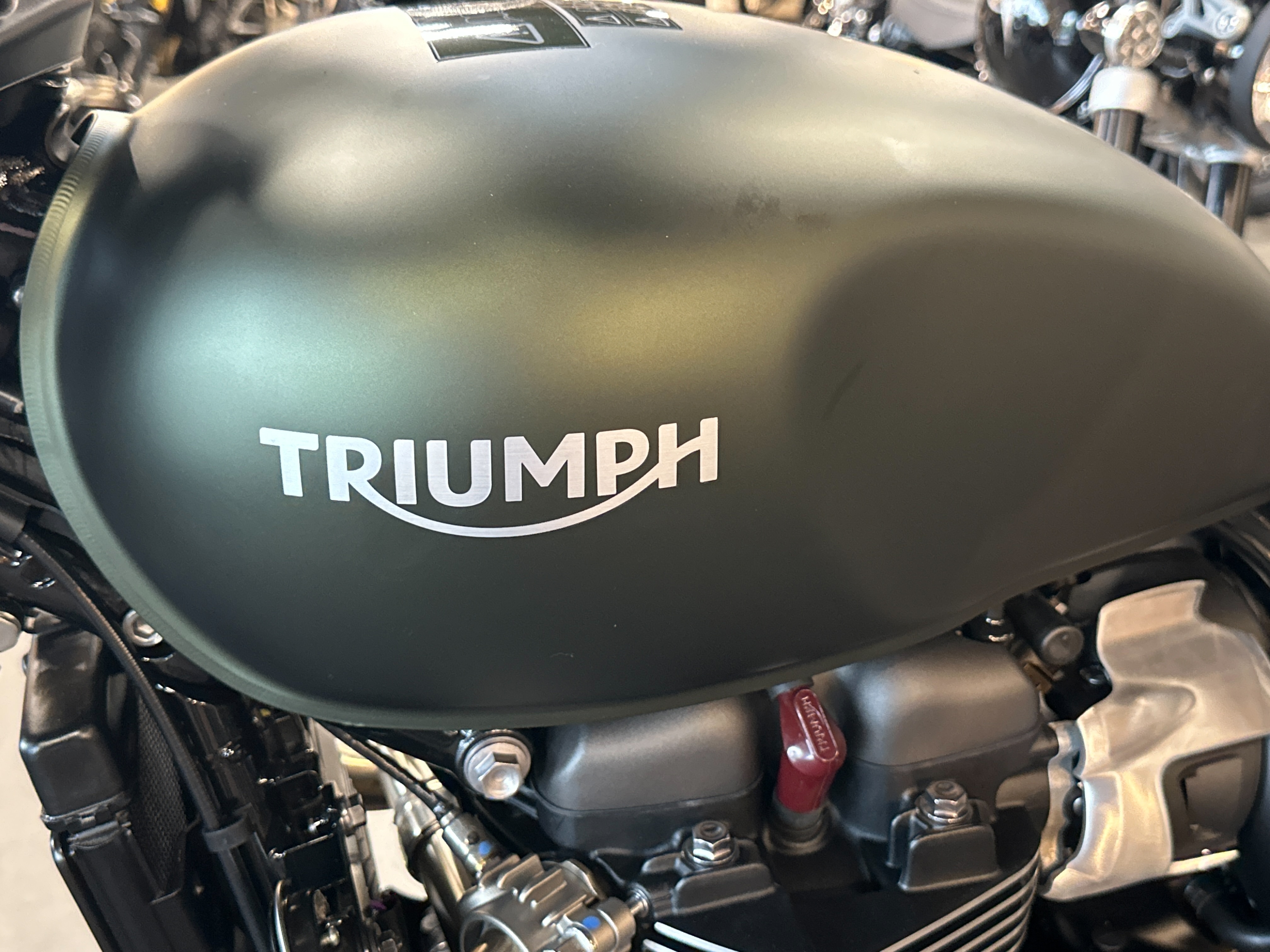 2023 Triumph Scrambler 900 Base at Frontline Eurosports