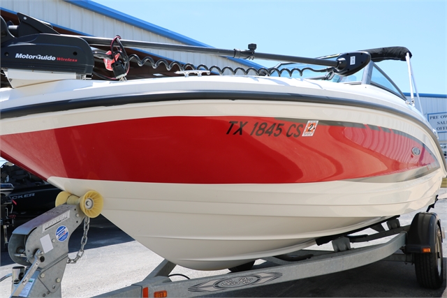 2015 Sea Ray 19 Spx at Jerry Whittle Boats