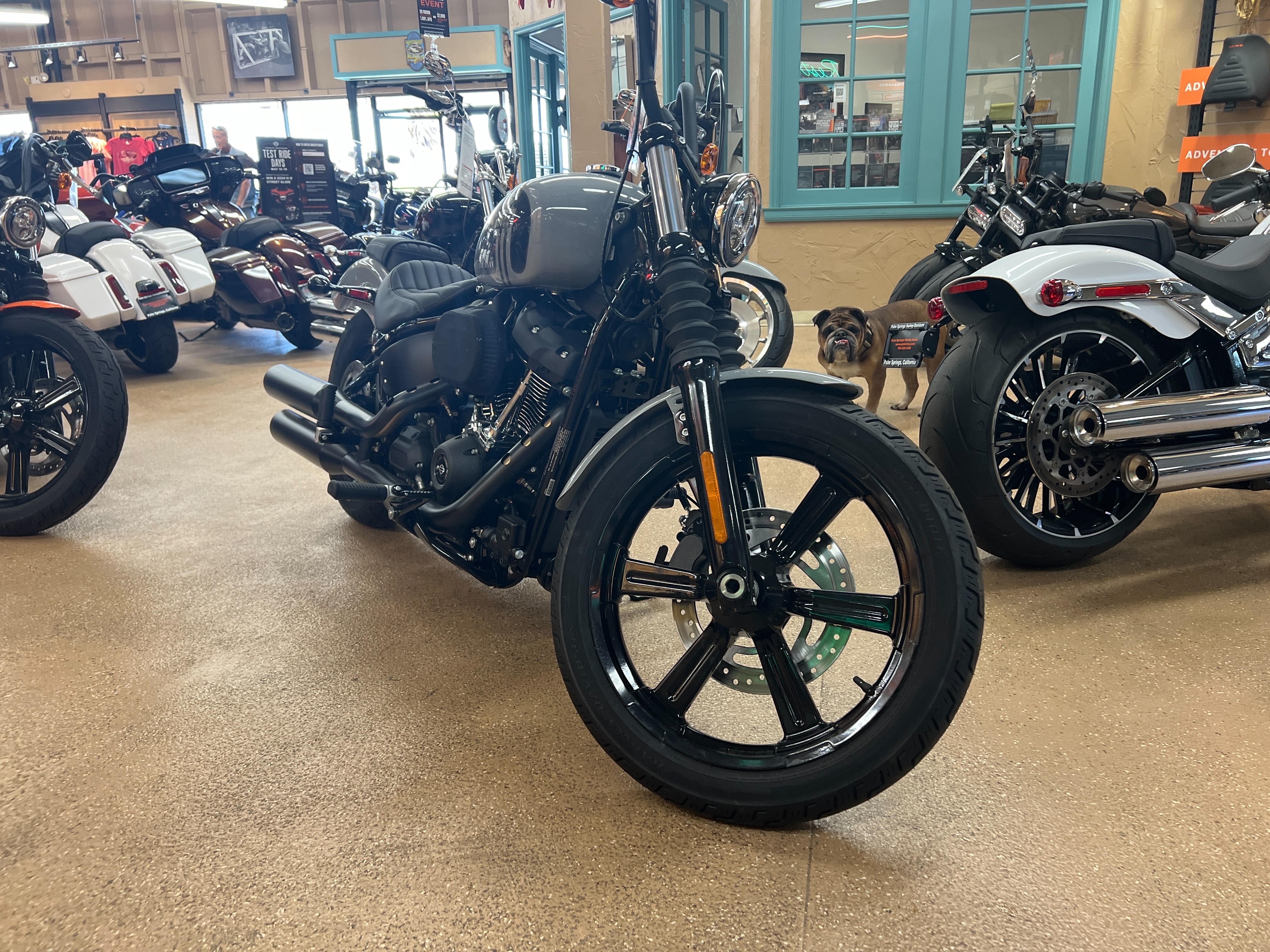 2024 Harley-Davidson Softail Street Bob 114 at Palm Springs Harley-Davidson®