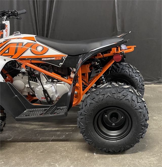 2023 Kayo Predator 125 at Powersports St. Augustine