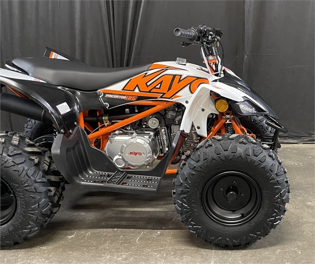 2023 Kayo Predator 125 at Powersports St. Augustine