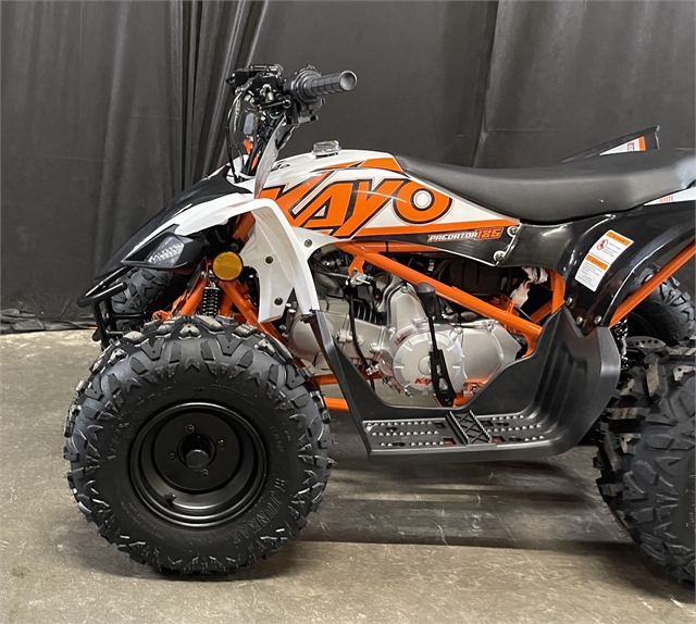 2023 Kayo Predator 125 at Powersports St. Augustine