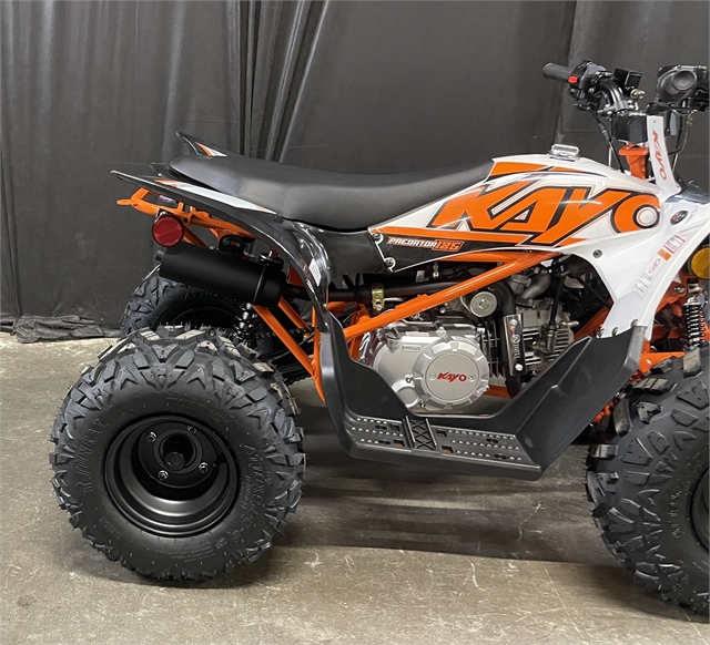 2023 Kayo Predator 125 at Powersports St. Augustine