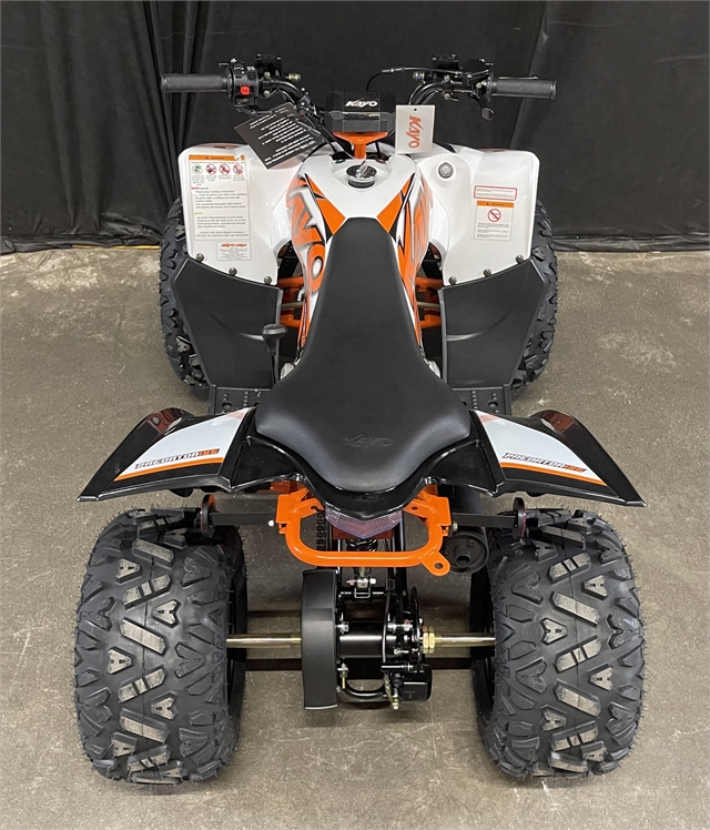 2023 Kayo Predator 125 at Powersports St. Augustine