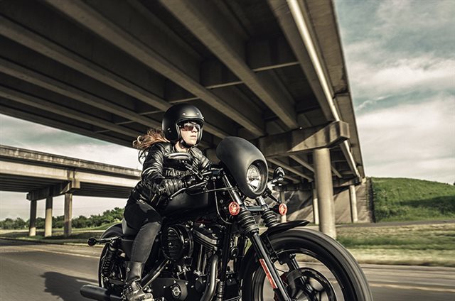 2016 Harley-Davidson Sportster Iron 883 at Phantom Harley-Davidson