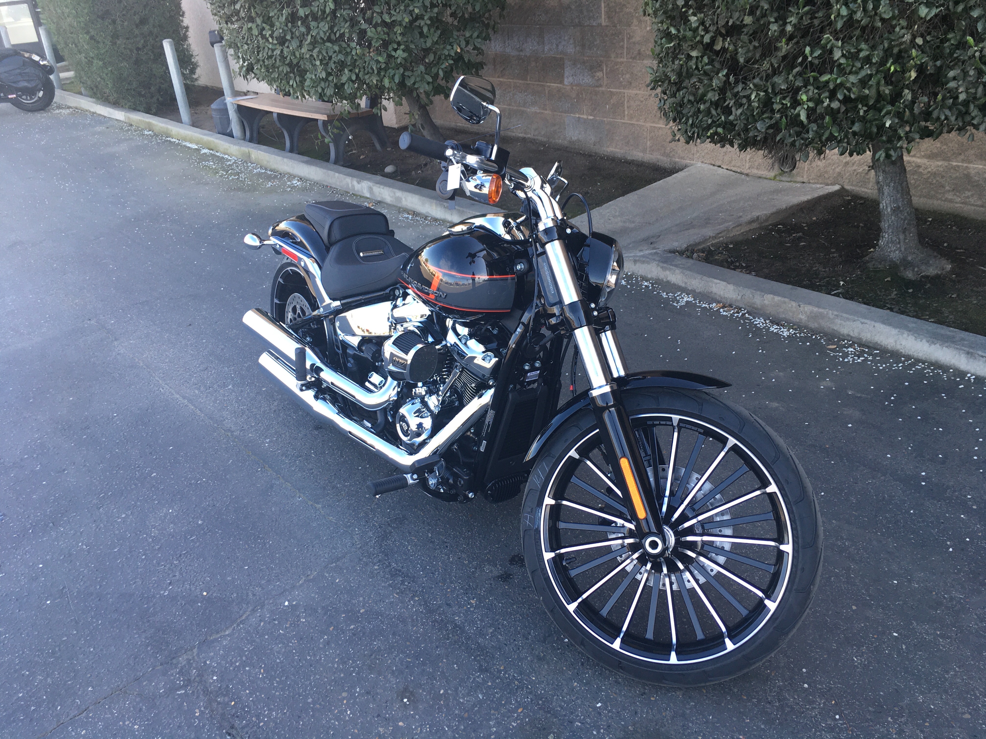 2024 Harley-Davidson Softail Breakout at Fresno Harley-Davidson