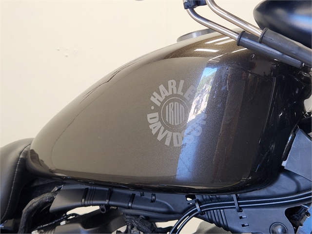 2020 Harley-Davidson Sportster Iron 883 at Texoma Harley-Davidson