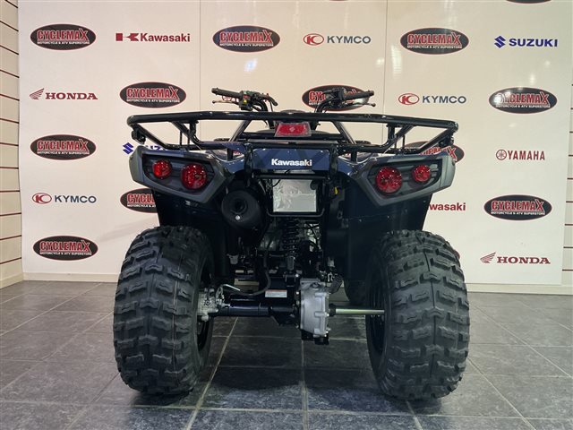 2025 Kawasaki Brute Force 300 at Cycle Max