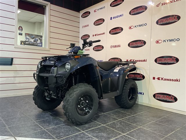 2025 Kawasaki Brute Force 300 at Cycle Max