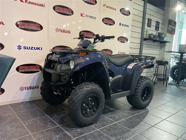 2025 Kawasaki Brute Force 300 at Cycle Max