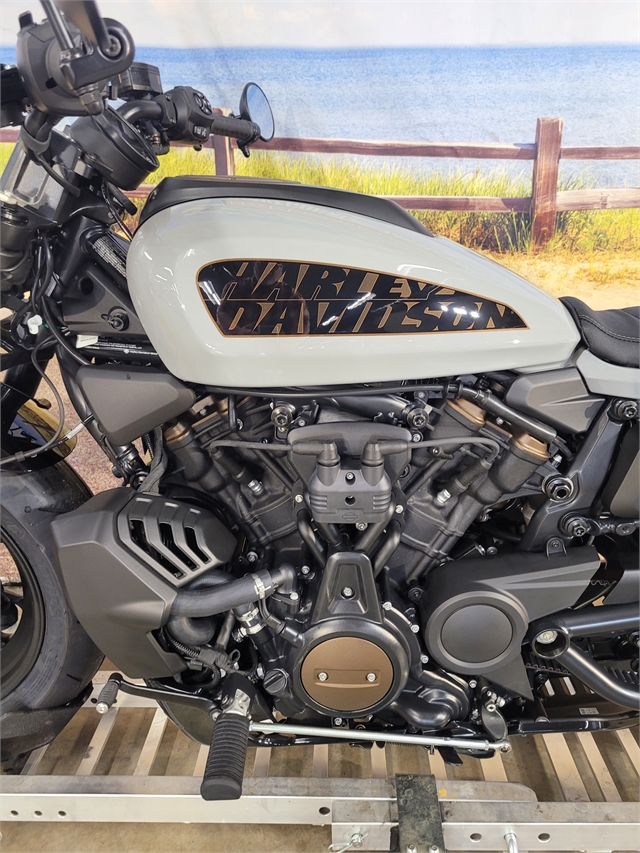 2024 Harley-Davidson Sportster at Hot Rod Harley-Davidson