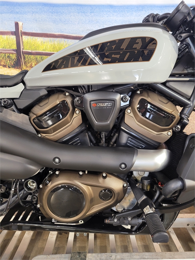 2024 Harley-Davidson Sportster at Hot Rod Harley-Davidson