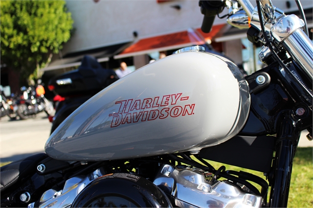 2024 Harley-Davidson Softail Standard at Quaid Harley-Davidson, Loma Linda, CA 92354