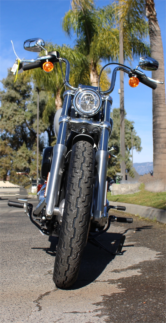 2024 Harley-Davidson Softail Standard at Quaid Harley-Davidson, Loma Linda, CA 92354