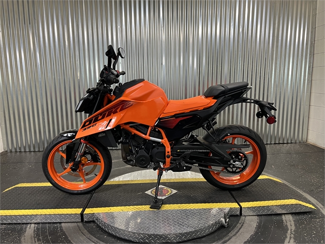 2024 KTM Duke 390 at Teddy Morse Grand Junction Powersports