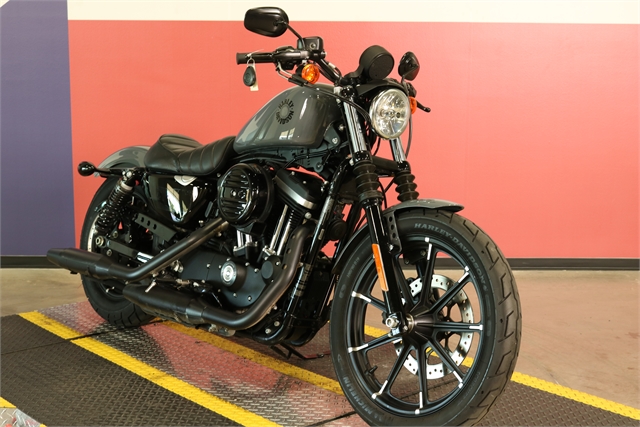 2022 Harley-Davidson Sportster Iron 883 at Texas Harley