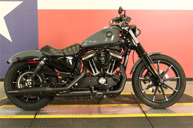 2022 Harley-Davidson Sportster Iron 883 at Texas Harley