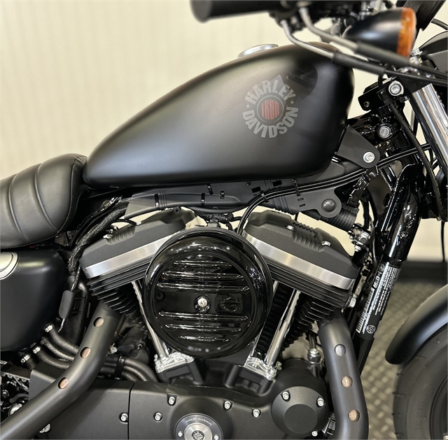 2021 Harley-Davidson Sportster at Gasoline Alley Harley-Davidson