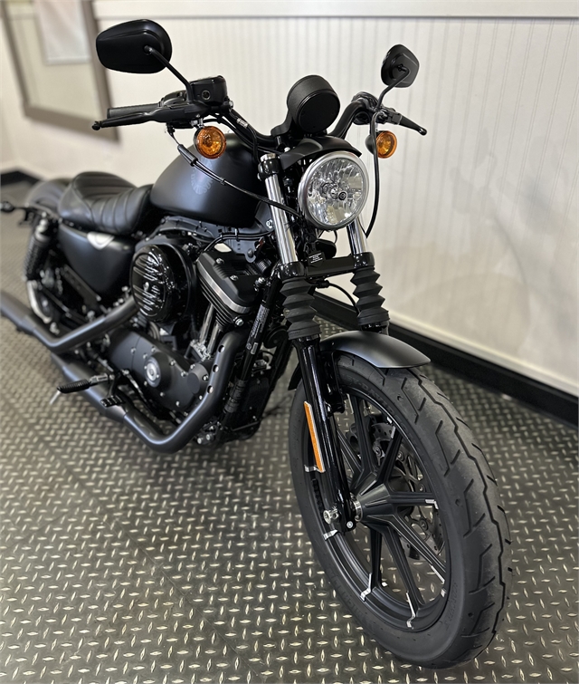 2021 Harley-Davidson Sportster at Gasoline Alley Harley-Davidson